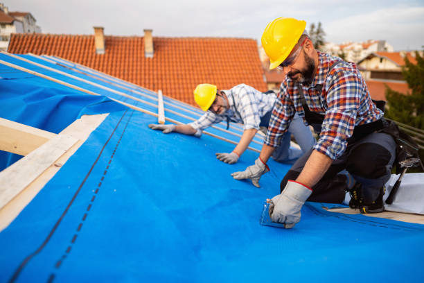 Best Roof Leak Repair  in Kendall Park, NJ